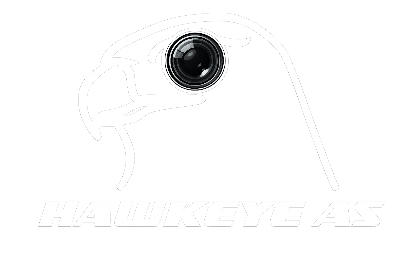 Hawkeye Logo