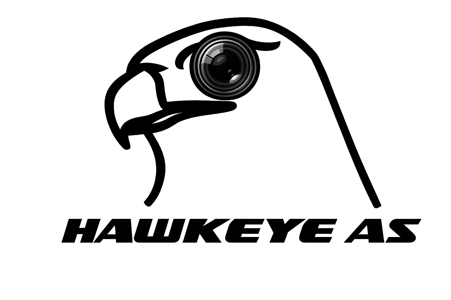 Hawkeye Logo